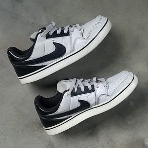 Classic Nike SB Dunk Low Pro Shoes